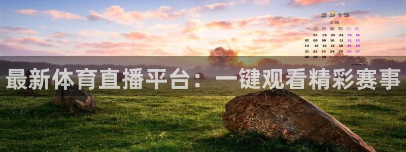 最新体育直播平台：一键观看精彩赛事