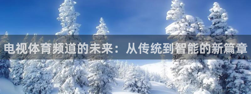电视体育频道的未来：从传统到智能的新篇章