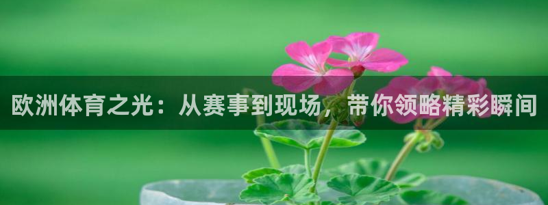 欧洲体育之光：从赛事到现场，带你领略精彩瞬间