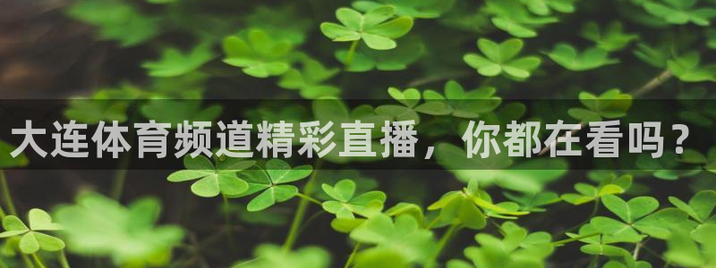 大连体育频道精彩直播，你都在看吗？