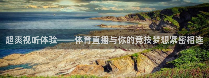 超爽视听体验——体育直播与你的竞技梦想紧密相连