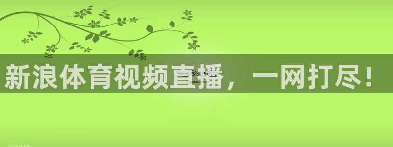 新浪体育视频直播，一网打尽！