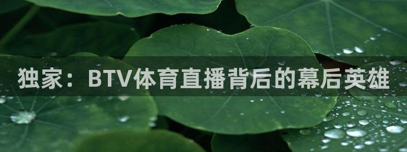 独家：BTV体育直播背后的幕后英雄