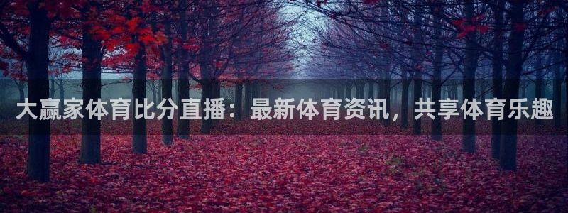 大赢家体育比分直播：最新体育资讯，共享体育乐趣