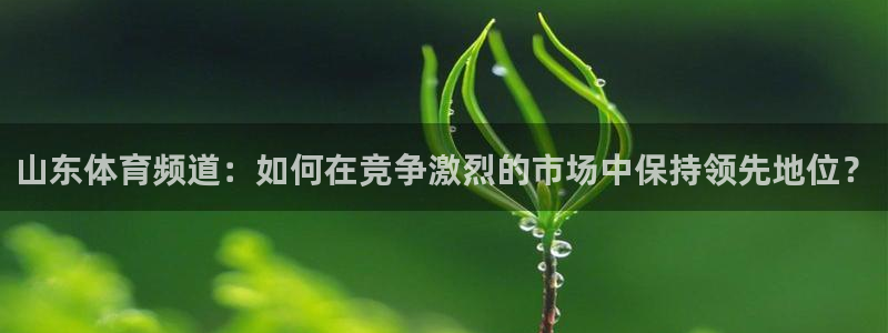山东体育频道：如何在竞争激烈的市场中保持领先地位？