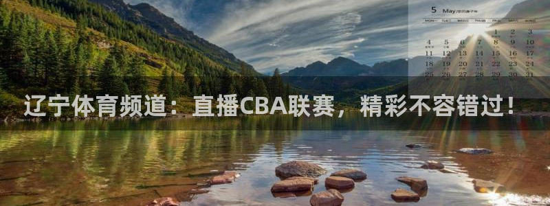 辽宁体育频道：直播CBA联赛，精彩不容错过！