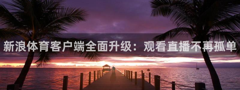 新浪体育客户端全面升级：观看直播不再孤单