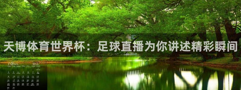 天博体育世界杯：足球直播为你讲述精彩瞬间
